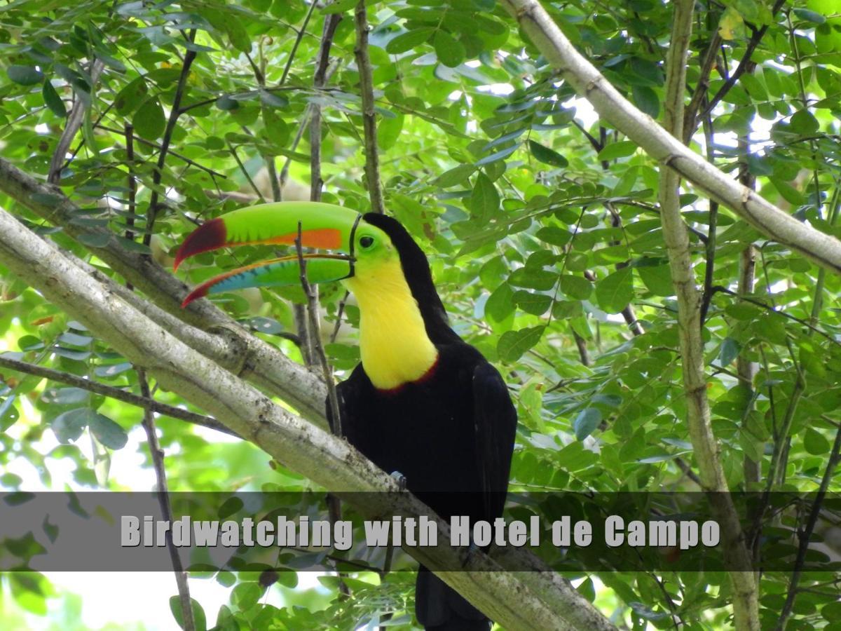 Hotel De Campo Caño Negro Dış mekan fotoğraf