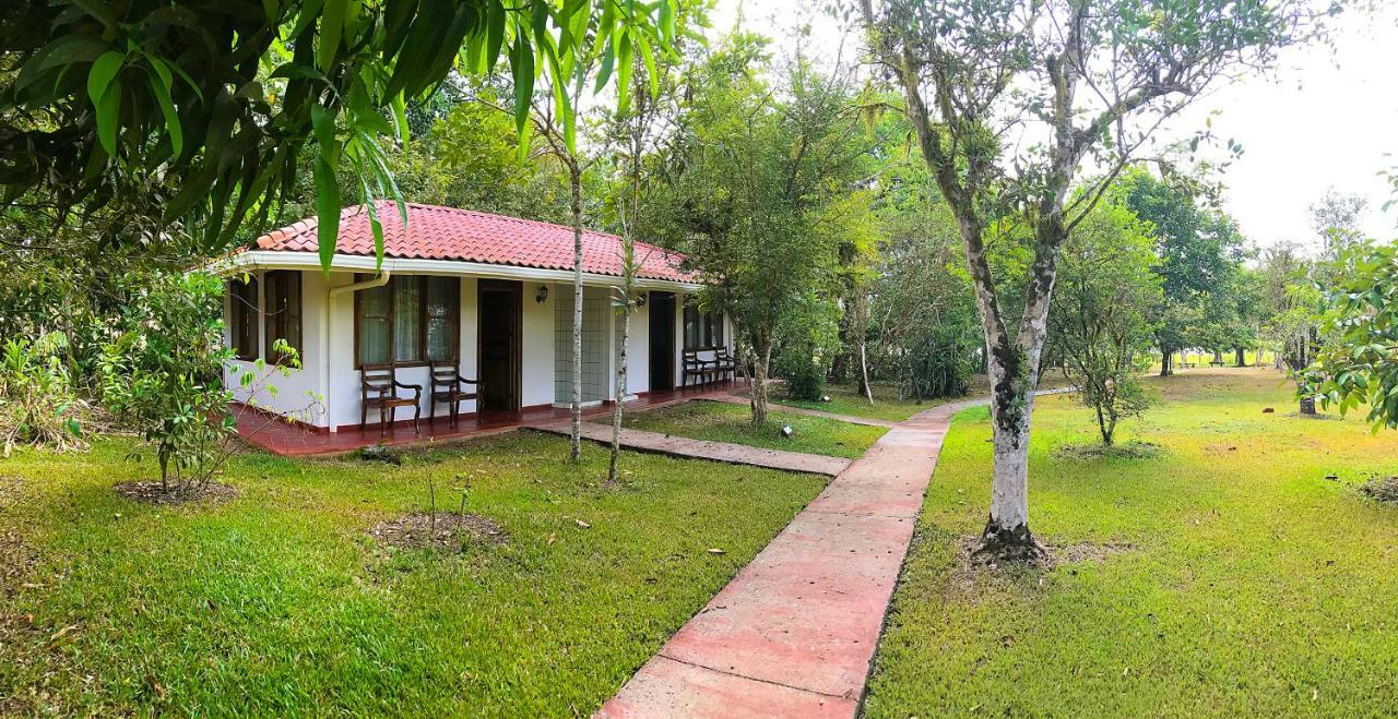 Hotel De Campo Caño Negro Dış mekan fotoğraf